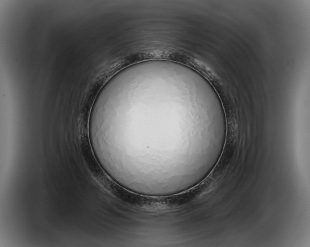 X0000086250594200704191844