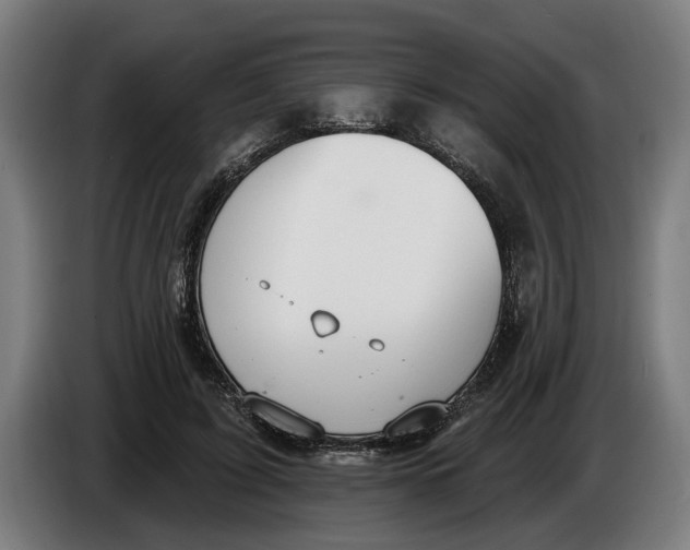X0000086250595200704191844