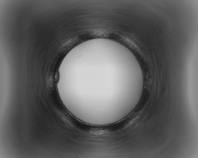 X0000086250597200704191844