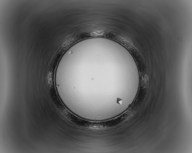 X0000086250598200704191844
