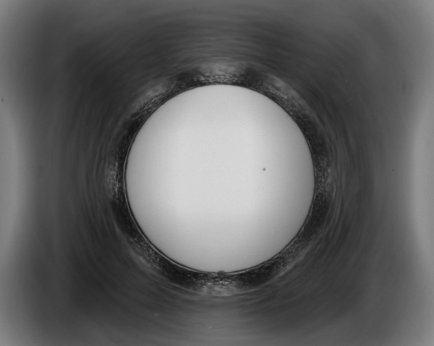 X0000086250599200704191844