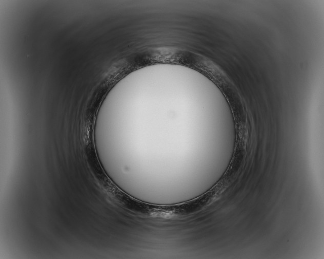 X0000086250602200704191844