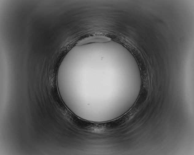X0000086250604200704191844