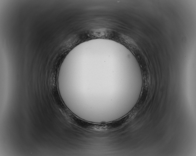 X0000086250606200704191844