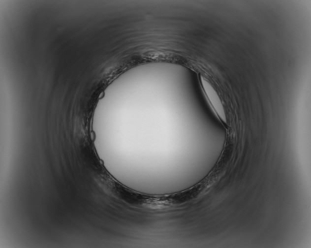 X0000086250607200704191844