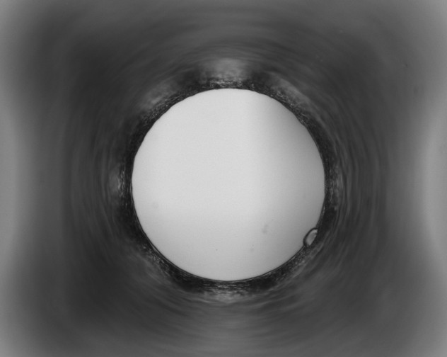 X0000086250608200704191844
