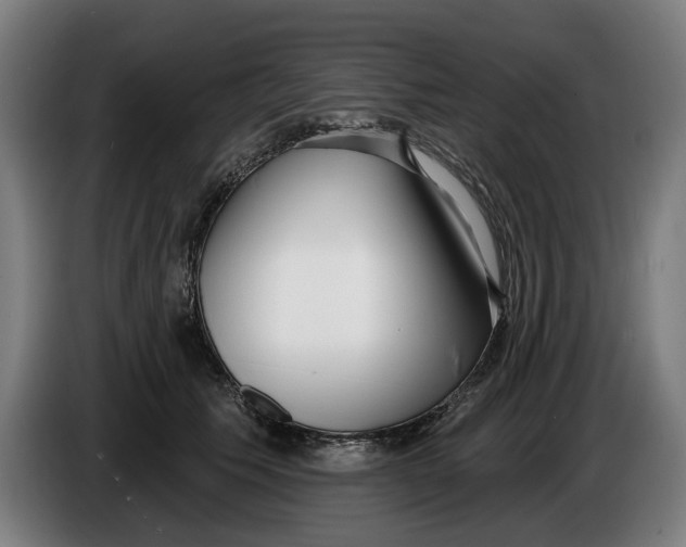 X0000086250609200704191844