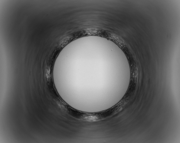 X0000086250610200704191844