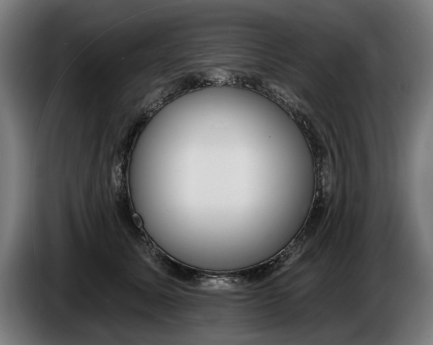 X0000086250611200704191844