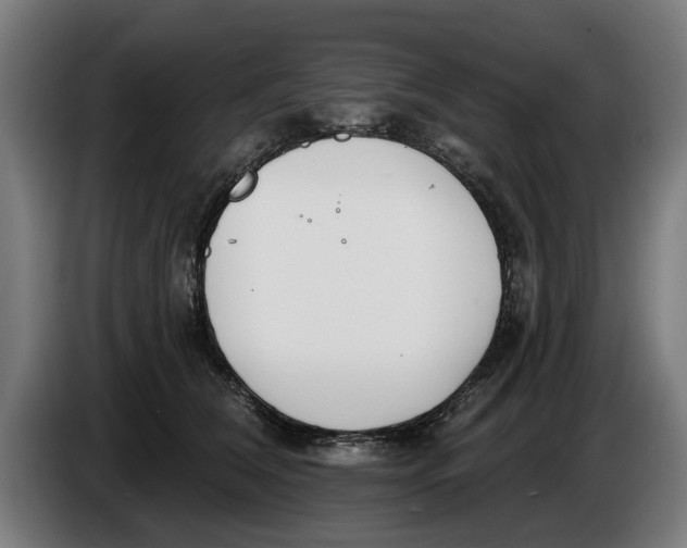 X0000086250612200704191844