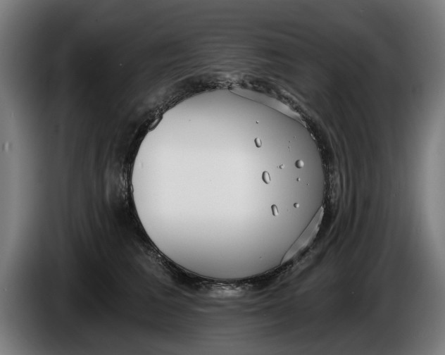 X0000086250613200704191844