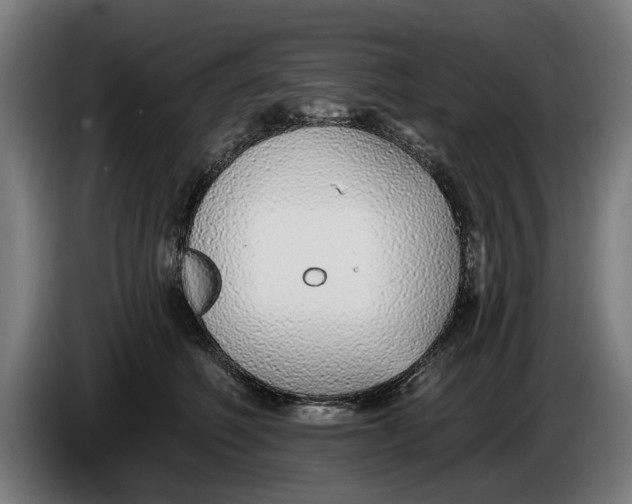 X0000086250614200704191844