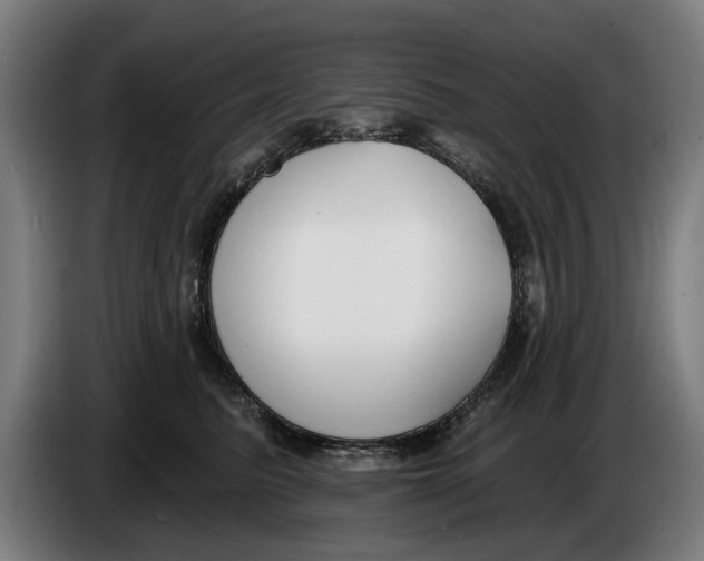 X0000086250615200704191844