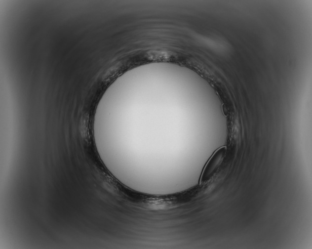 X0000086250616200704191844