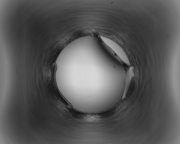 X0000086250617200704191844