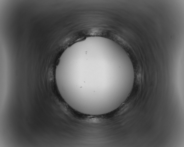 X0000086250620200704191844