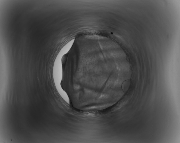 X0000086250624200704191844