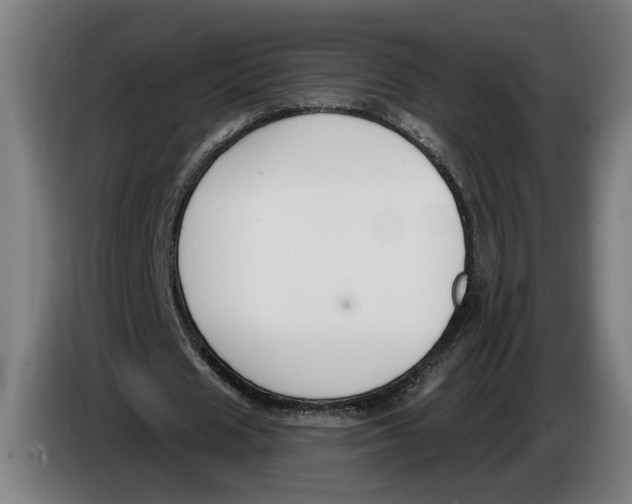 X0000086250625200704191843