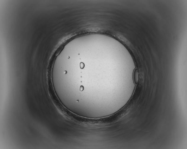 X0000086250626200704191843
