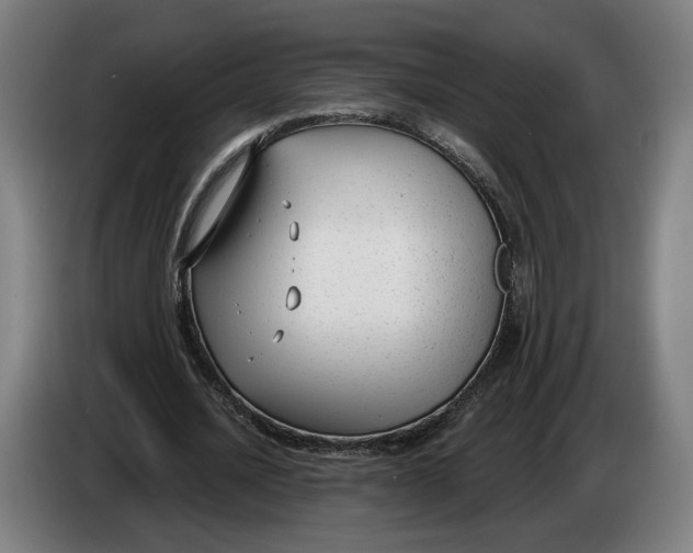 X0000086250628200704191843