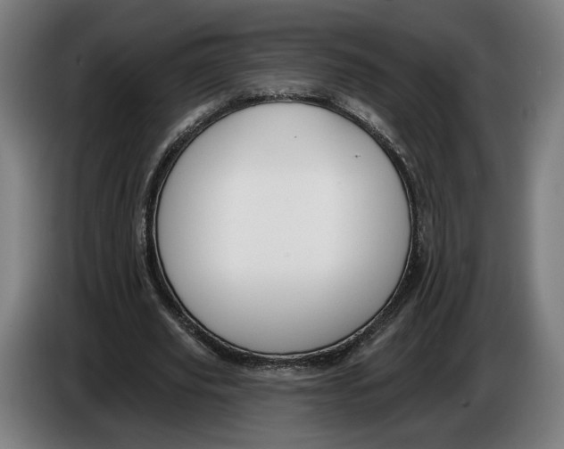 X0000086250629200704191843