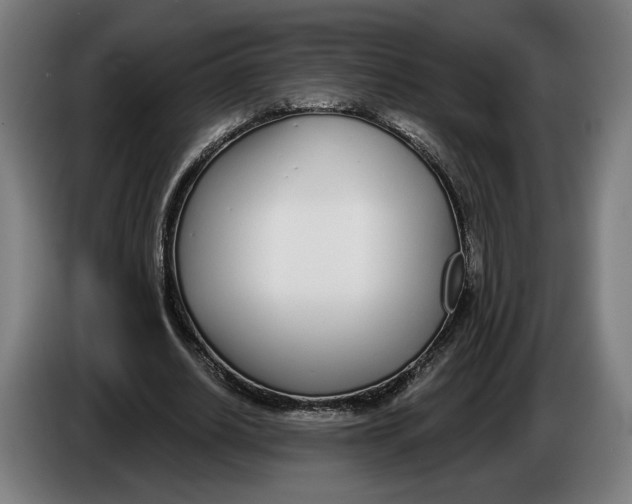 X0000086250630200704191843