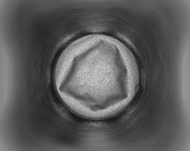 X0000086250631200704191843