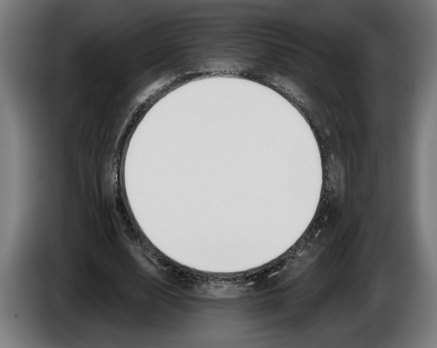 X0000086250632200704191843