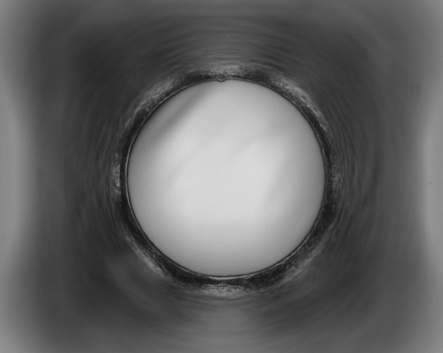X0000086250633200704191843