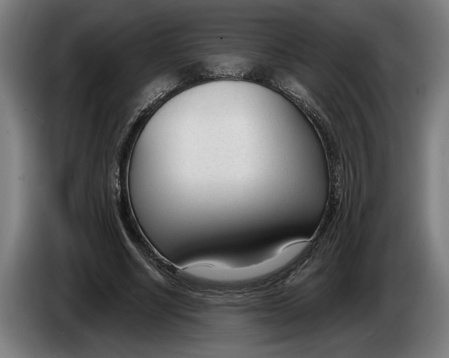 X0000086250634200704191843