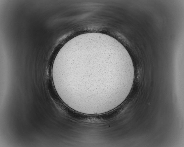 X0000086250636200704191843