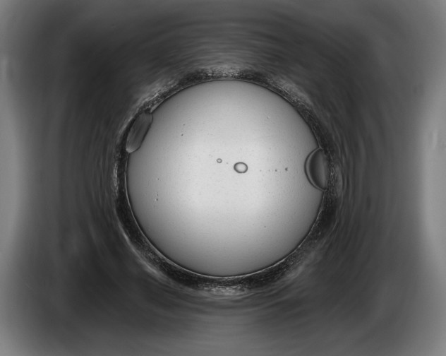 X0000086250638200704191843