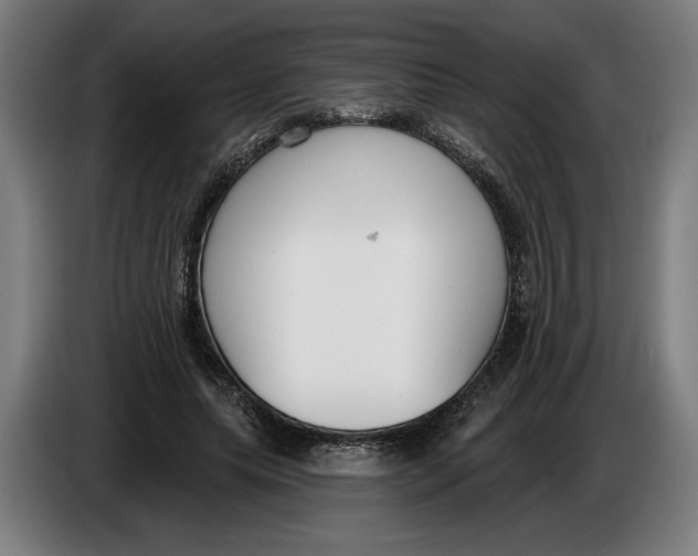 X0000086250639200704191843
