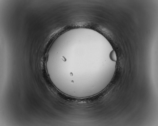 X0000086250640200704191843