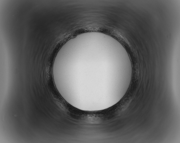 X0000086250641200704191843