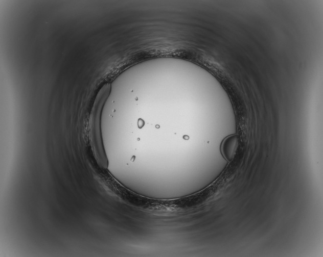 X0000086250642200704191843