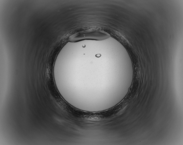 X0000086250643200704191843