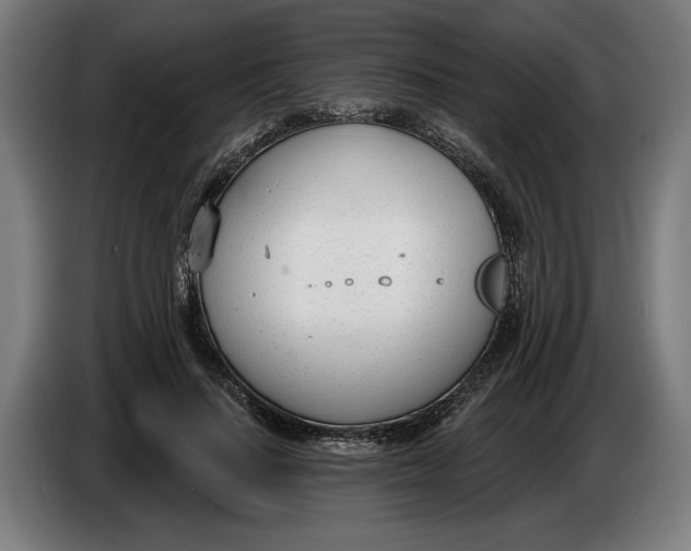 X0000086250644200704191843