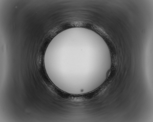 X0000086250645200704191843