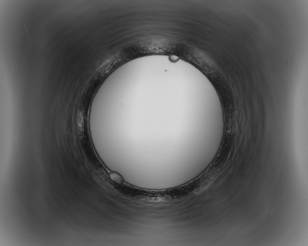 X0000086250646200704191843