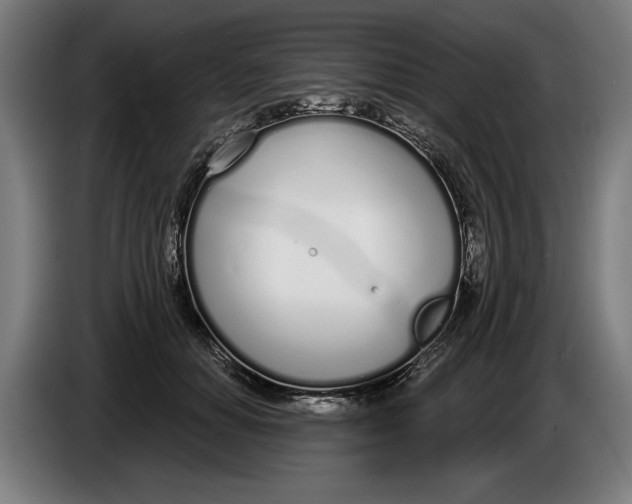 X0000086250654200704191843