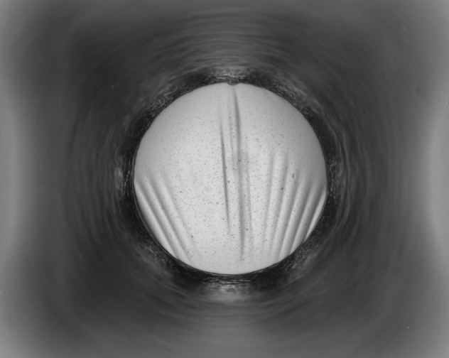 X0000086250655200704191843