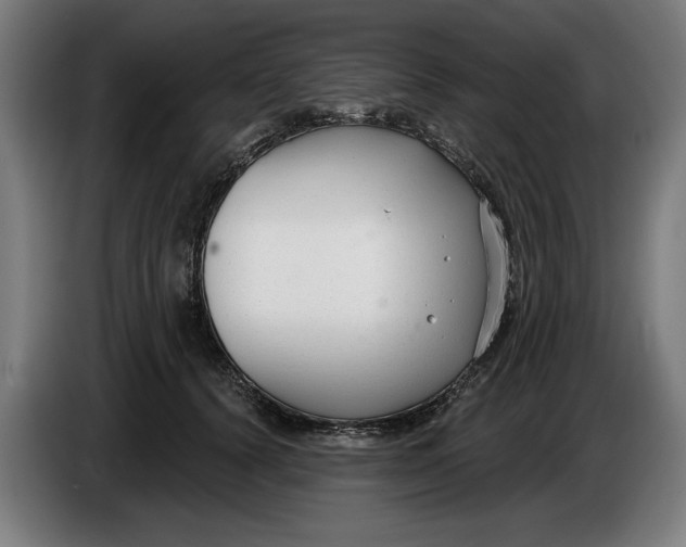 X0000086250656200704191843