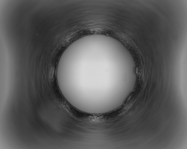 X0000086250660200704191843