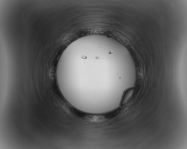 X0000086250663200704191843