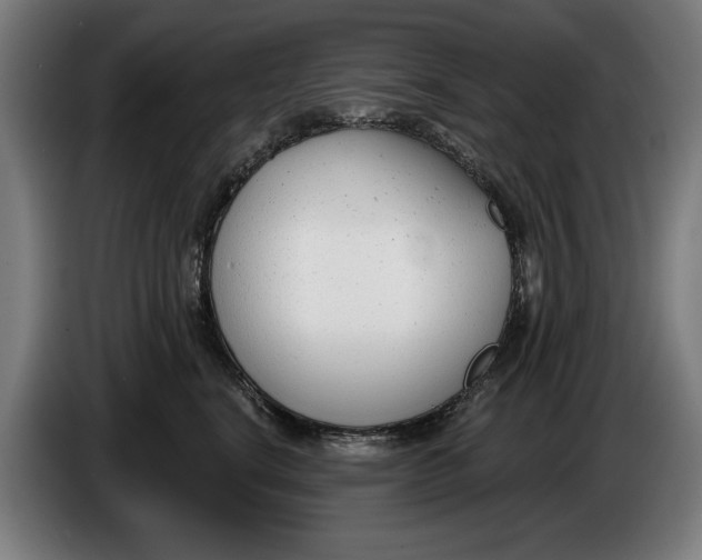 X0000086250664200704191844
