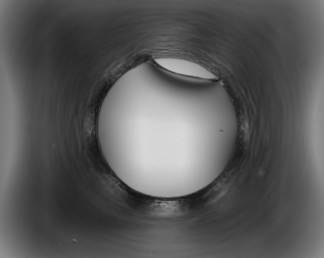 X0000086250665200704191844