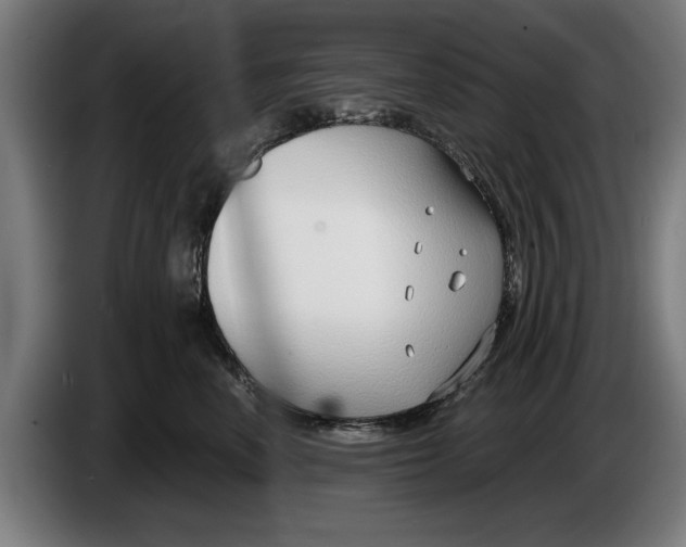 X0000086250666200704191844