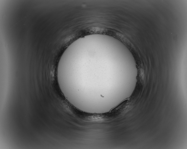 X0000086250668200704191844