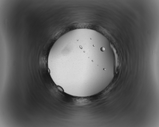 X0000086250669200704191844